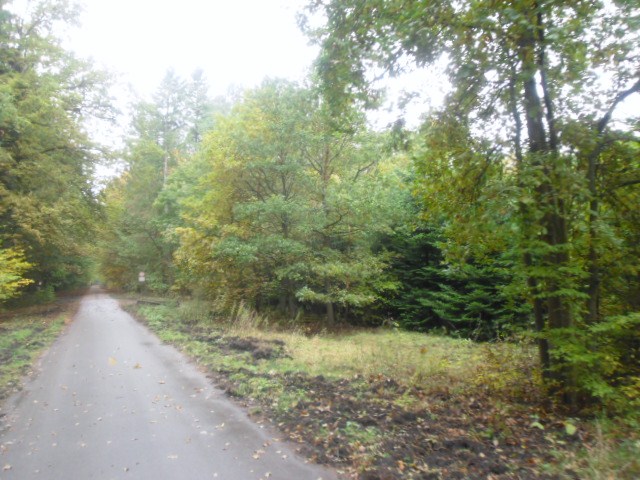 CTF-Permanente Neustaedter Holz 033